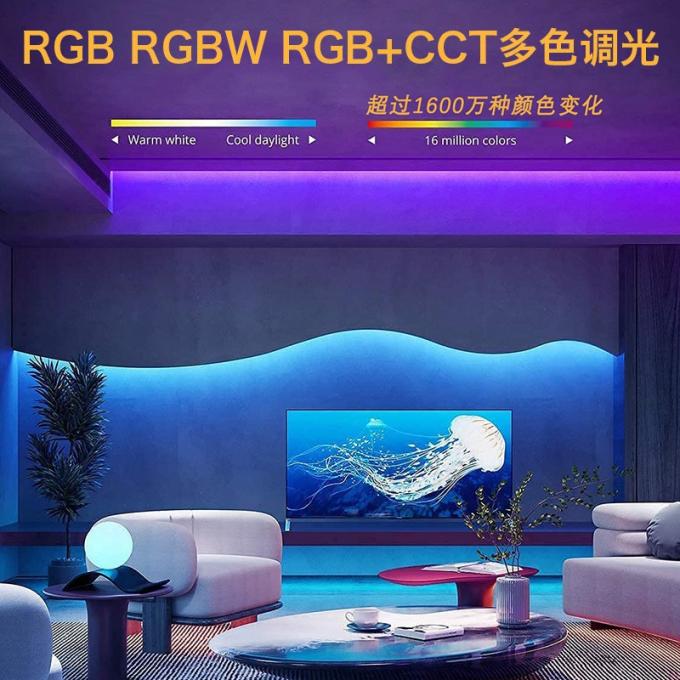 商用 マジック COB LED ストライプ ドリーム フルカラー DC 24V アドレス可能 5